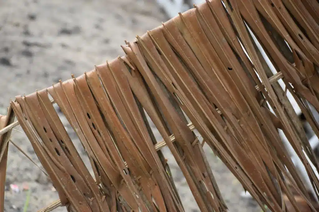 feuilles-palmier-séchés