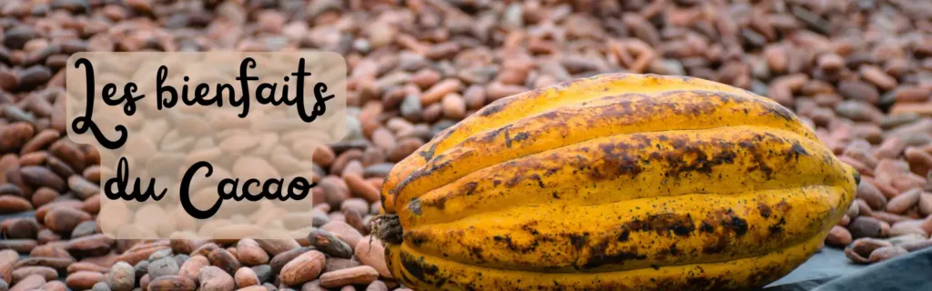 Les-bienfaits-du-cacao