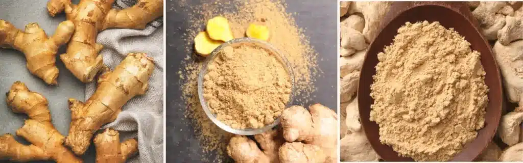 Bienfaits du gingembre